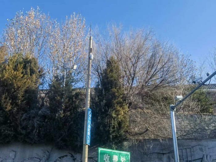 修剪之前
