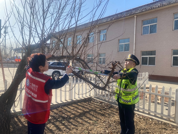 3月12日榛子镇收费站开展植树节志愿服务活动 (1)