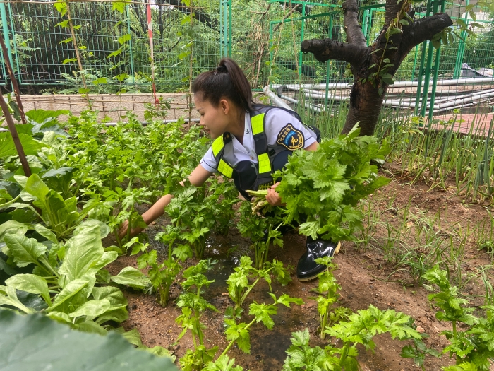 微信图片_20250619115232 微信图片_20250619115232