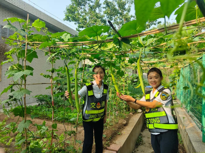 微信图片_2025-07-14_091231_739 微信图片_2025-07-14_091231_739