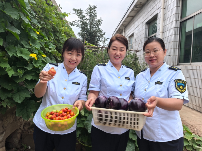 7月榛子镇收费站职工小菜园丰收 (2)