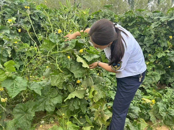 微信图片_20250916084642