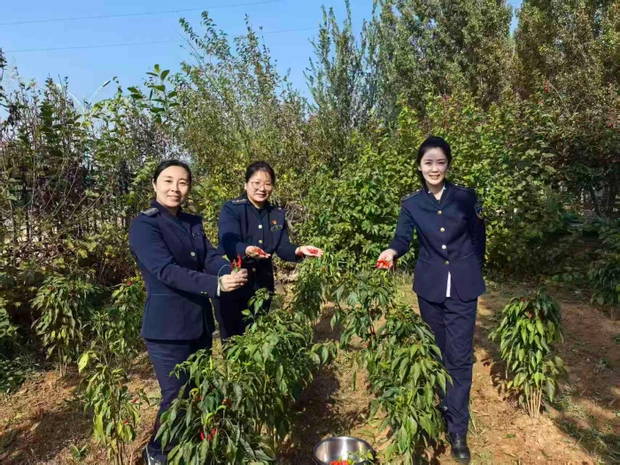 微信图片_20251017105921_178_236 微信图片_20251017105921_178_236