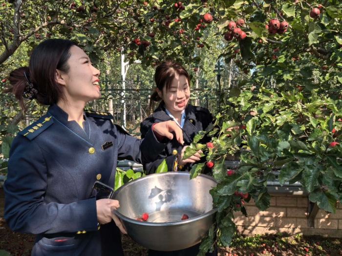 微信图片_20251017105939_179_236 微信图片_20251017105939_179_236