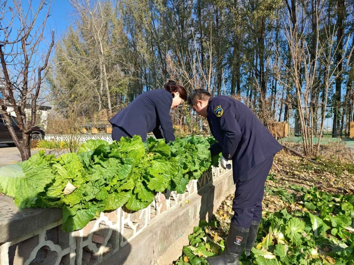 6b05553a408119be8f3c89a561deff85