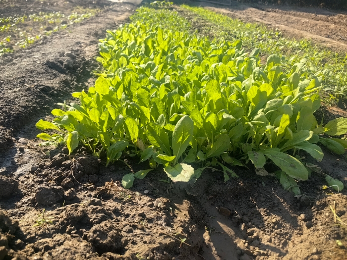 微信图片_20260407155554_1459_9