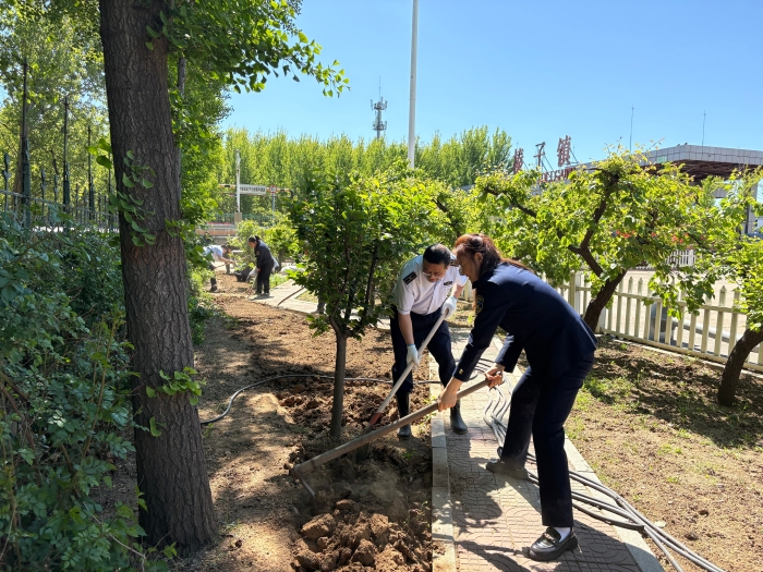 4月29日榛子镇收费站开展栽种苗木绿化美化活动 (2)