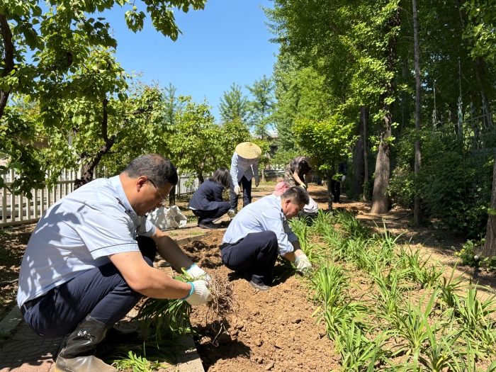 4月29日榛子镇收费站开展栽种苗木绿化美化活动 (1)