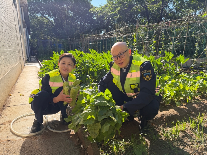 6.8秦北站收费四班小菜园采摘